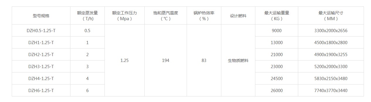 DZH型生物質(zhì)蒸汽鍋爐.JPG